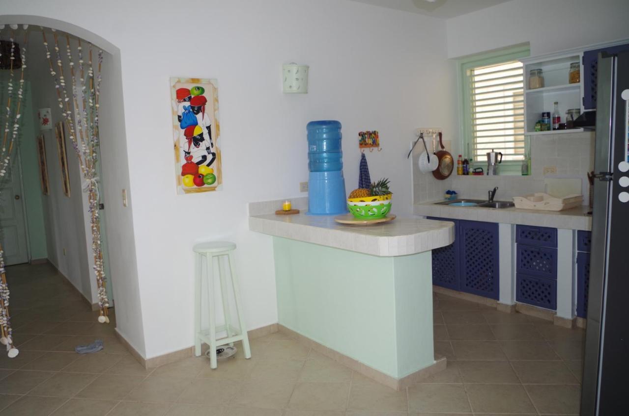Little Paradise In Middle Of Beautiful Beaches! Las Terrenas Esterno foto